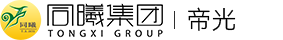 同曦帝光